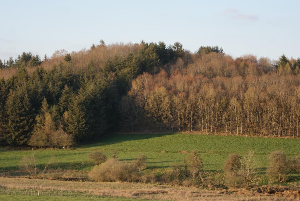 Le Gite De L Ourthe Ortheuville Exterior foto
