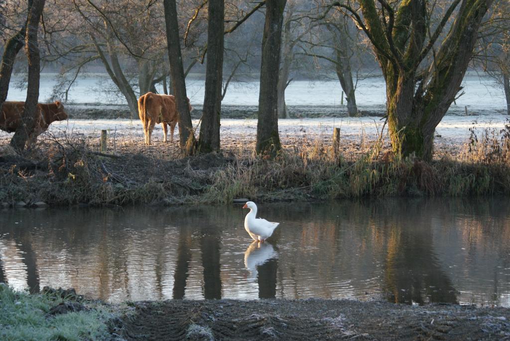 Le Gite De L Ourthe Ortheuville Exterior foto